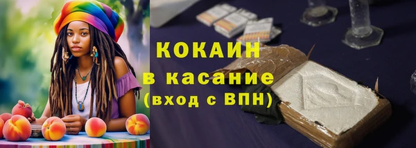 амф Верея