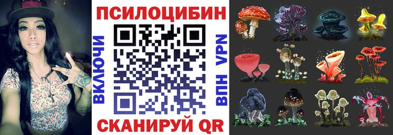 Псилоцибиновые грибы Cubensis Енисейск